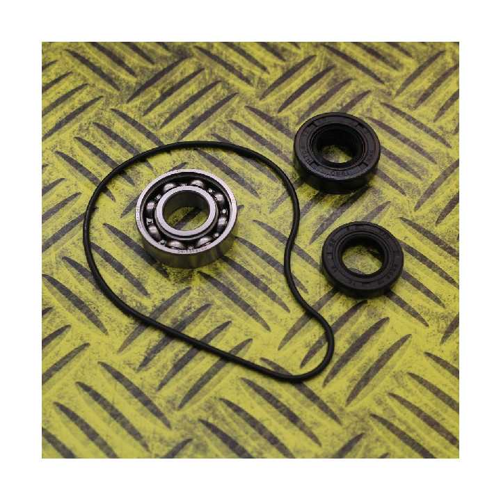 KIT JOINTS REPARATION POMPE A EAU HOT RODS YZF 250 01/13