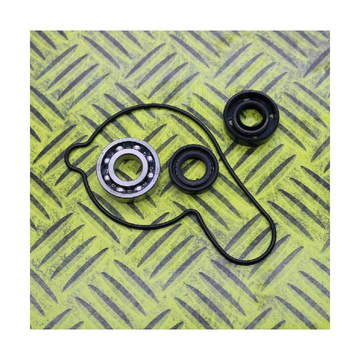 KIT JOINTS REPARATION POMPE A EAU HOT RODS YZF 250 01/13
