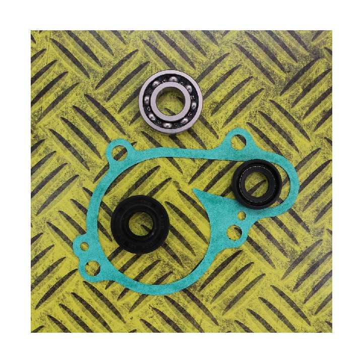 KIT JOINTS REPARATION POMPE A EAU HOT RODS YZF 250 01/13