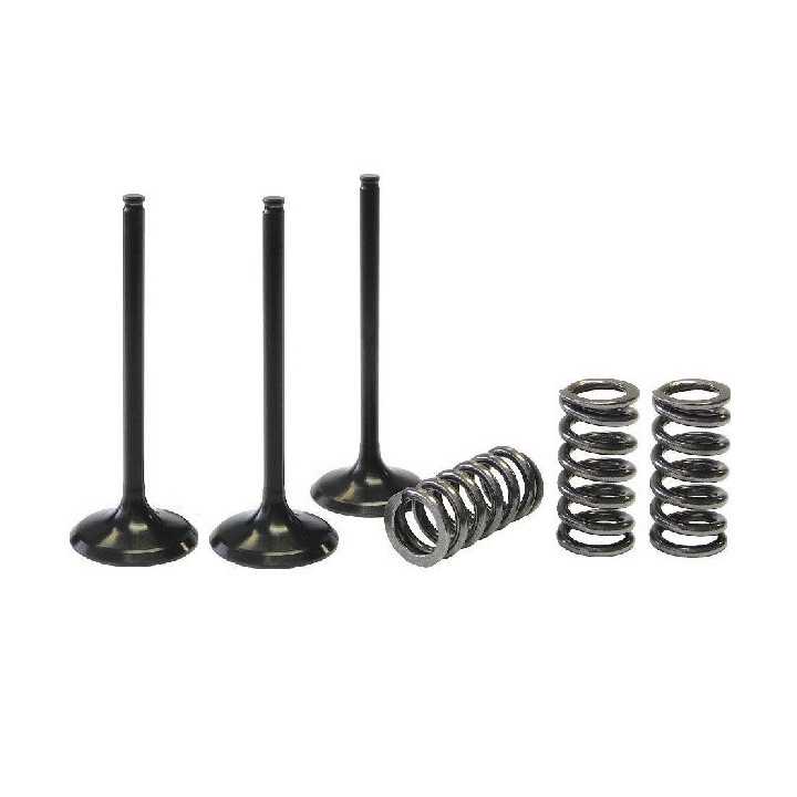 KIT CONVERSION SOUPAPE ADMISSION TITANE EN ACIER PROX CRF 250 04/07