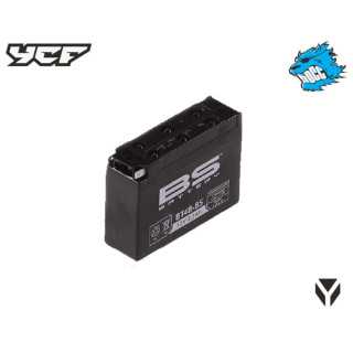 BATTERIE YCF POUR 50A