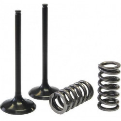 KIT SOUPAPES ACIER ECHAP RM-Z250 07-11