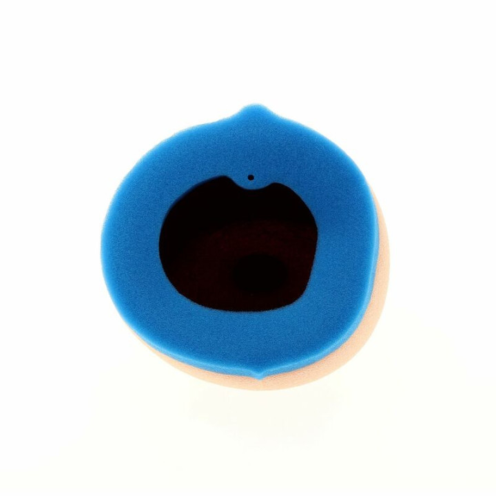 FILTRE A AIR TECNIUM YAMAHA YZF 450 03/09