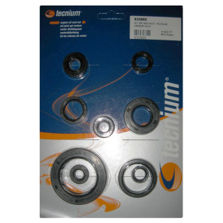 POCHETTE JOINTS SPY BAS MOTEUR TECNIUM CR 250 02/04