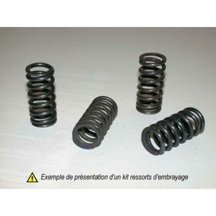KIT RESSORTS D'EMBRAYAGE KX250 86-07