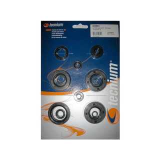 POCHETTE JOINTS SPY BAS MOTEUR TECNIUM YZ 125 01/04