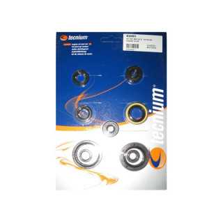 POCHETTE JOINTS SPY BAS MOTEUR CENTAURO RM 250 03/09