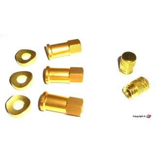 KIT CAPUCHONS VALVES GRIPSTER