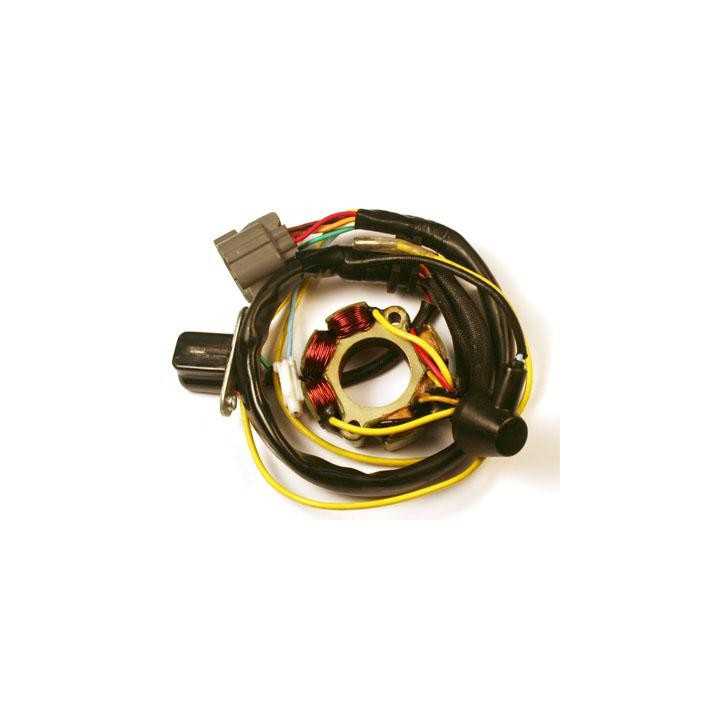 STATOR AVEC BOBINE D'ECLAIRAGE ELECTROPSPORT SUZUKI RMZ 250 04